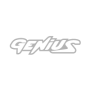 Genius